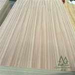 Сапели столкнулся с фанерой